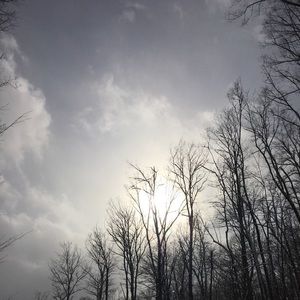 Meet your Posher, Lauryn